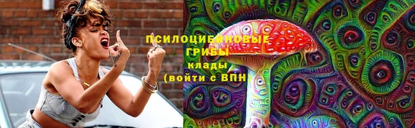 марки lsd Козельск