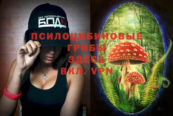 apvp Коряжма
