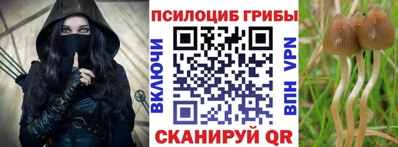 Галлюциногенные грибы Psilocybine cubensis Купить где Велиж